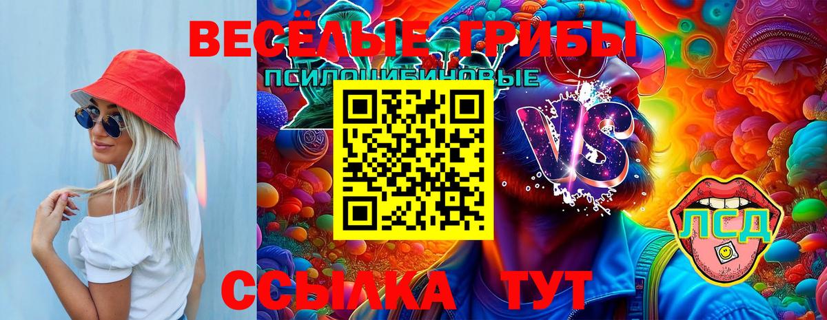 Псилоцибиновые грибы Cubensis  Вход с VPN  Железногорск 