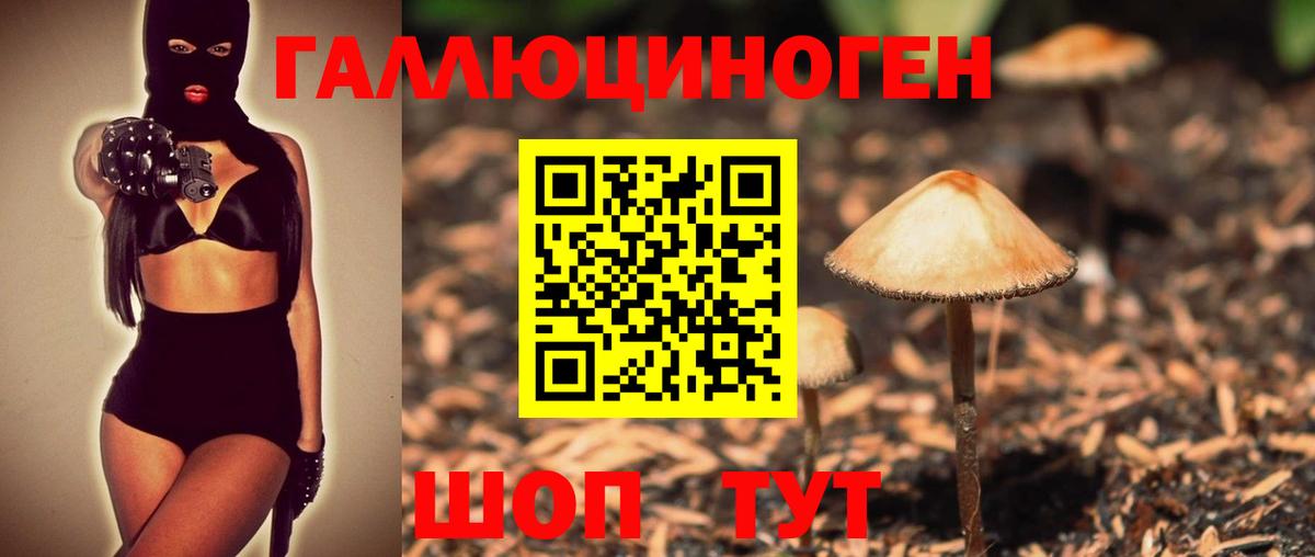 Галлюциногенные грибы Psilocybine cubensis Железногорск
